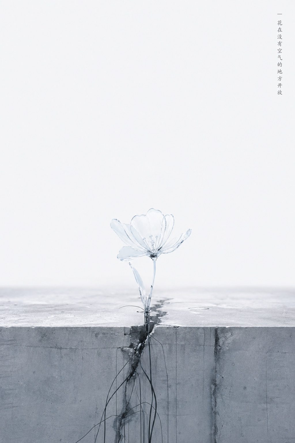 AI 海报 05