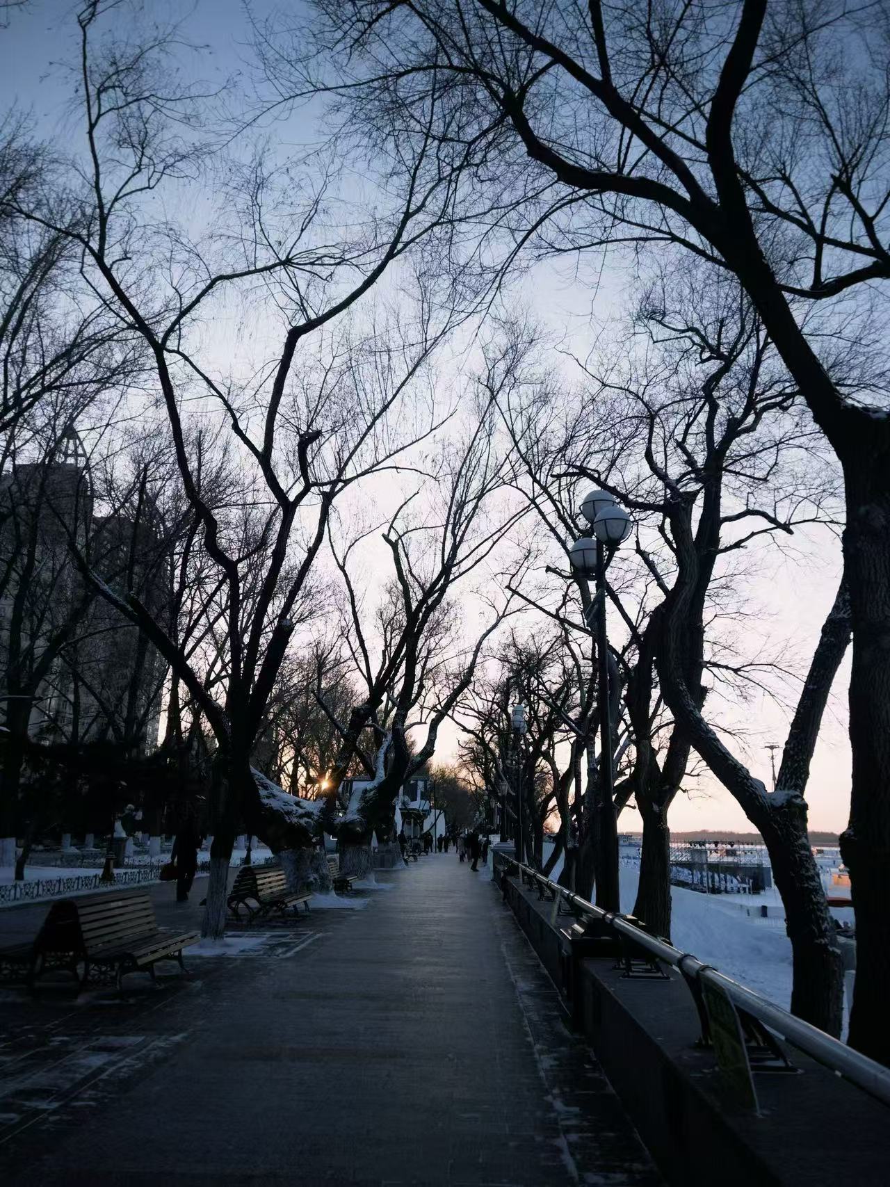 冬日雪景 03